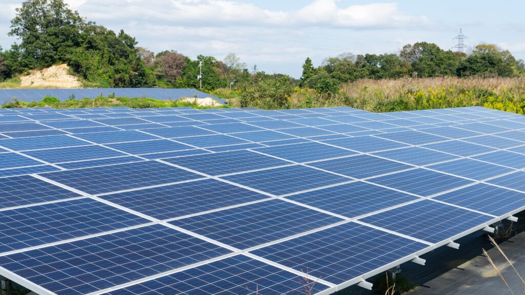 Ampi pannelli fotovoltaici installati su un campo verde, sotto un cielo sereno.